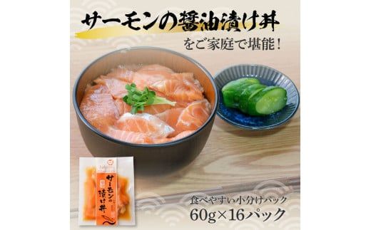サーモンの醤油漬け丼 16袋セット 1パック60g 漬け丼 海鮮丼 サーモン丼 出汁茶漬け おかず おつまみ 惣菜 魚 魚介類 海鮮 個包装 小分け 真空パック 簡単【企業組合　宇佐もん工房】 [BQAB058]
