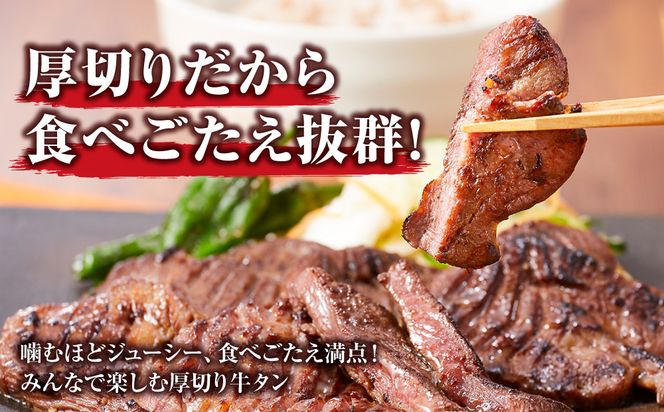 牛タンの本場・仙台加工！やわらか厚切り牛タン（塩味）500g　● ｜ 肉 牛肉 タン 食品 仙台 厚切り 塩味 やわらか ギフト 本場 加工 041009_GW005