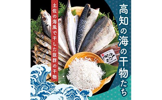 【CF-R7hbk】SST002　高知の海の干物たち＜土佐の海風で干した抜群の干物を＞＜高知市・南国市共通返礼品＞