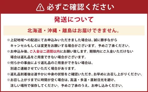 天草産活車海老 250g 8～12尾 活き車海老 車海老 車エビ 活き海老 活きエビ えび 海老 エビ 新鮮 魚介 【発送期間2024年11月05日から2025年4月30日】