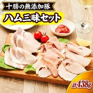 十勝の無添加豚 無添加ハム三昧セット ［うらがみミート］ 無塩せき 保存料・結着剤不使用【 ハム 詰め合わせ 肉 豚 国産 惣菜 おつまみ 料理 加工品 北海道 十勝 幕別 】
