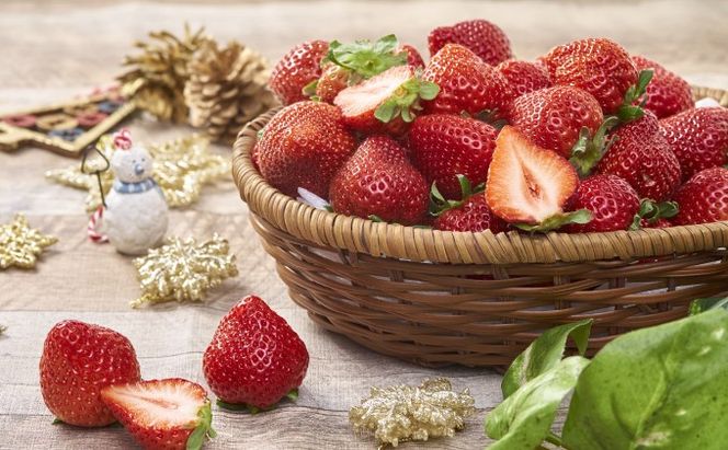 いちご あまおう 6パック 1Pあたり約250g以上 福岡のいちご 苺 本来の酸味と甘み 冬 配送不可 離島 果物類 イチゴ 