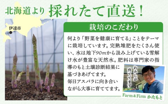 【2026年先行予約】太くてあまーい 北海道産 春芽 アスパラ (約2kg／LL以上中心＋3L・L混合 ) 先行予約 新鮮 採れたて直送 旬 野菜 あすぱら 農家直送 北海道  Farm&Firm かたもと 伊達市