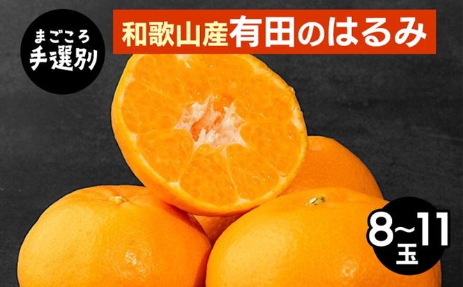 【先行予約】【まごころ手選別】和歌山県産 はるみ 約2.5kg（8～11玉）秀品 L～3Lサイズ 柑橘