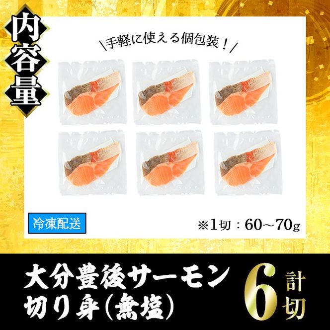 大分豊後サーモン 切り身(計6切) 魚 鮮魚 切身 無塩 冷凍 佐伯 養殖 国産 個包装 大分県 佐伯市【EA28】【(株)トーワ】