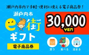 電子商品券　瀬戸内市e街ギフト（30，000円分） チケット 
