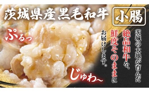 【茨城県産】 黒毛和牛 もつ鍋 焼肉用 小腸 1.2kg（200g×6パック） (茨城県共通返礼品) 国産 牛肉 肉 お肉 ホルモン もつ 焼肉