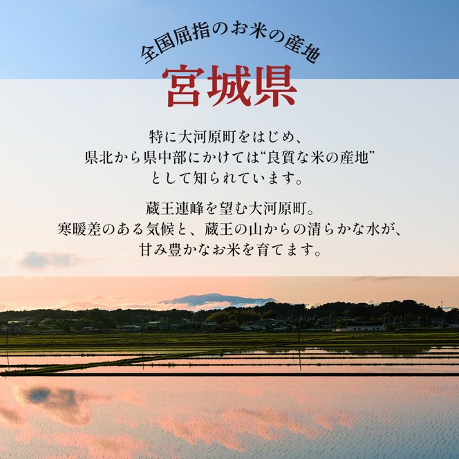 ひとめぼれ 定期便2回/5kg×2 令和7年産 宮城県産 米 精米 白米