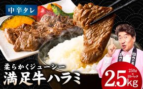 G5290 【満足牛ハラミ】中辛タレ漬け 合計2.5kg 【スピード発送 味付け ハラミ 小分け 焼くだけ 簡単調理 BBQ 牛肉 250g×10P 普段使い】