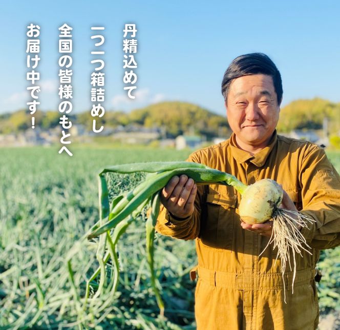 【新玉ねぎ】淡路島たまねぎ（10キロ）【発送時期：2026年5月頃】　玉ねぎ 産地直送