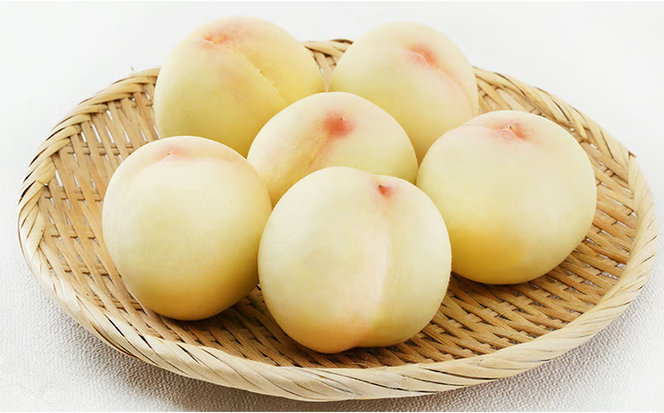 桃 2026年 先行予約 岡山 の 白桃 8玉（合計1.7kg以上）化粧箱入り もも モモ 岡山県産 国産 フルーツ 果物 ギフト デザート 上品な甘み とろける 産地直送 [№5735-1467]