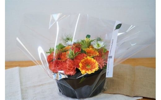 【花瓶いらず！】レッドカーネーションでふわもこケーキのようなフラワーアレンジ！ そのまま飾れる プレゼント 贈り物 還暦 記念日 お誕生日 お祝い 母の日 H174-010
