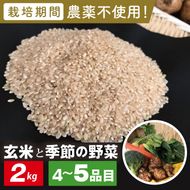 【身体が喜ぶ野菜】玄米2kgと季節の野菜(おまかせ4〜5品)(茨城県共通返礼品／潮来市)｜米 お米 こめ 玄米 野菜 野菜セット 栽培期間農薬不使用 茨城県共通返礼品 共通返礼品 茨城県 潮来市 行方市(BI-57)