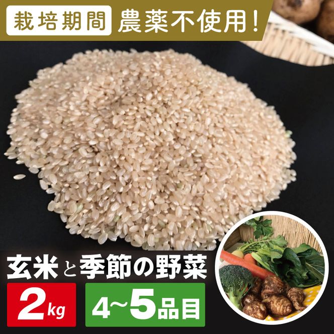 【身体が喜ぶ野菜】玄米2kgと季節の野菜(おまかせ4〜5品)(茨城県共通返礼品／潮来市)｜米 お米 こめ 玄米 野菜 野菜セット 栽培期間農薬不使用 茨城県共通返礼品 共通返礼品 茨城県 潮来市 行方市(BI-57)
