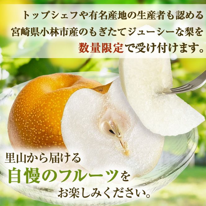 【産直もぎたて】里山のもぎたて梨 3kg程度（フルーツ 果物 くだもの 旬 梨 数量限定 期間限定）