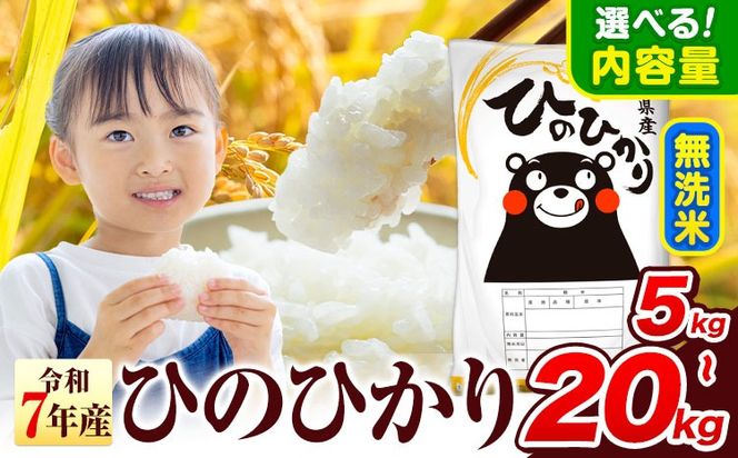 令和7年産 無洗米 ひのひかり 5kg 10kg  20kg 《7-14日以内に出荷予定(土日祝除く)》 熊本県産 無洗米 精米 氷川町 ひの 送料無料 ヒノヒカリ コメ 便利 ブランド米 お米 おこめ 熊本 SDGs---hkw_lcl_255_5kg---