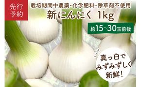 【先行予約】【数量限定40】新にんにく1kg（15玉～30玉前後） にんにくコンフィレシピ付き（栽培期間中農薬・化学肥料・除草剤不使用）（2027年6月上旬～発送）　KU00068