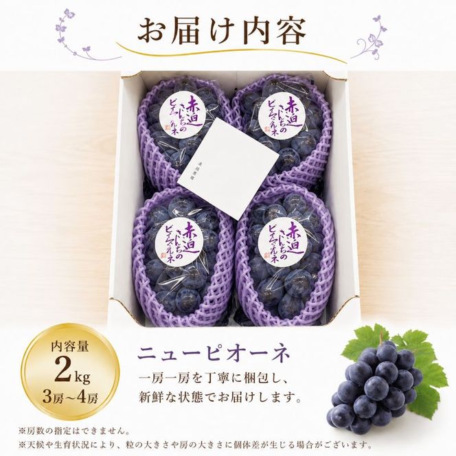 ぶどう ニュー ピオーネ 2kg  3房～4房 1房 約500g～600g 葡萄 フルーツ 岡山 高梁市産 赤迫農園 2026年 先行予約