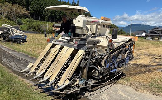 岐阜県産 棚田米 1等米コシヒカリ はちたか米 精米5kg F4N-2576