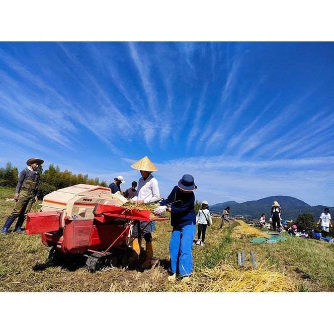 京都府・亀岡産 栽培期間中農薬不使用 亀岡学校給食プロジェクト 自然栽培米の米粉 5kg(1kg×5) ※離島への発送不可