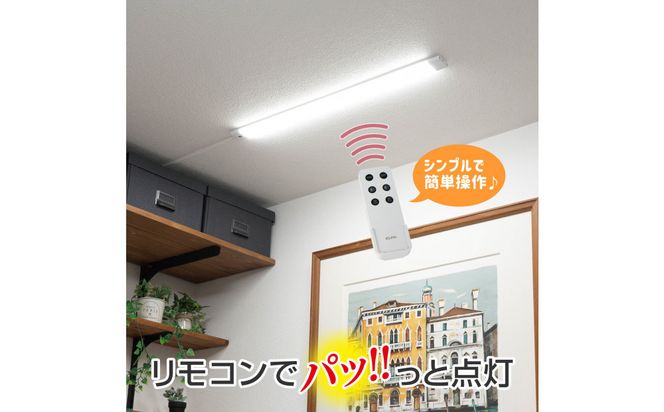 LED多目的灯 リモコン60cm 昼光色ALT-3060RE(D) 272183_AZ251
