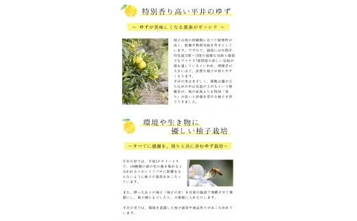 古座川町の 柚子＆しそシャーベット 8個入（4個×2種） ゆず 柚子 柚 ユズ しそ 紫蘇 フルーツ スイーツ アイスクリーム ジェラート【yuz117A】