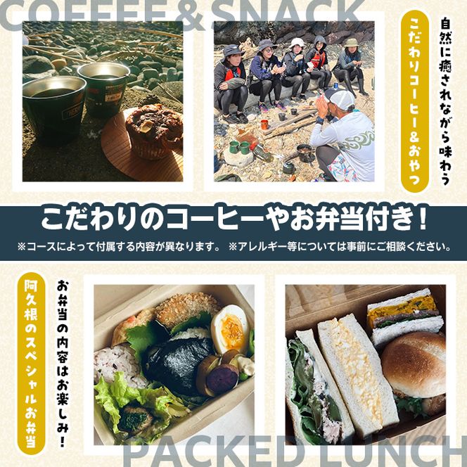 期間限定実施 シーカヤック体験チケット(1日/3名) 阿久根 シーカヤック アウトドア アクティビティ 自然 体験 ツアー チケット マリンスポーツ【パズル】akn098-17