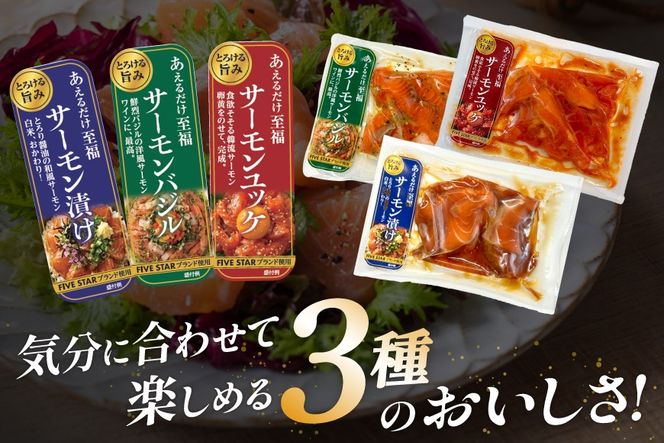 サーモン FIVE STAR ブランド サーモンユッケ サーモンバジル サーモン漬け 3種 セット 計3パック [カネダイ 宮城県 気仙沼市 20566153] 魚 魚介類 サーモン サーモントラウト 鮭 さけ サーモン ユッケ バジル 漬け さけ サケ トラウト 海鮮 丼 海鮮丼 個包装 小分け 冷凍