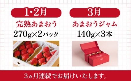 【全3回定期便】完熟 あまおう 270g × 2パック / あまおう ジャム 140g × 3本 【先行予約：2025年1月より順次発送】 糸島市 / slowberry strawberry 苺 いちご [APJ005]