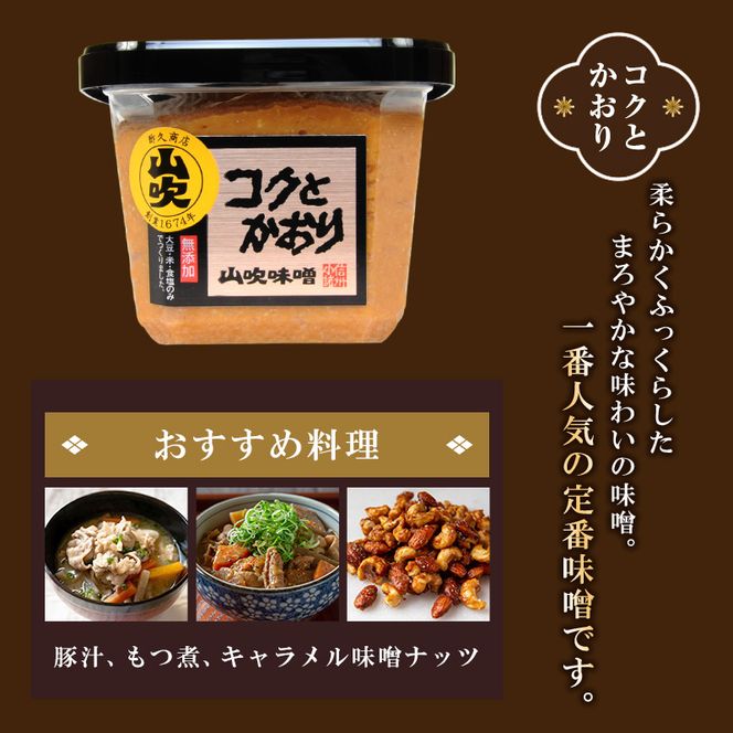 味噌 山吹味噌 コクとかおり 500g×6 セット 信州味噌 みそ ミソ 熟成 信州 信州みそ 無添加  調味料 小分け 長野県 長野 