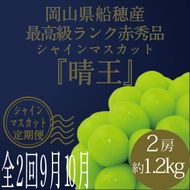 【定期便 全2回】 ぶどう 2026年 先行予約 9月・10月発送 高級品 シャインマスカット 晴王 2房 合計約1.2kg ブドウ 葡萄 岡山県産 国産 フルーツ 果物 ギフト