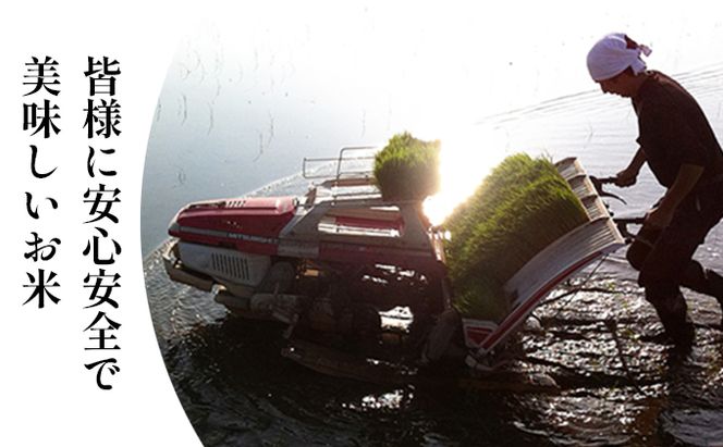 令和7年度産ミルキークイーン白米5kg×3カ月定期 お米 ライス 精米 ブランド米 ご飯 炭水化物 毎食 朝ごはん ランチ 昼ごはん 夜ごはん 食卓 主食 おにぎり 直送 低農薬 