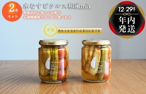 G1454 【年内発送】【いずみピクルス】水なすピクルス和風MIX 2本セット NSW スピード発送【特別寄附金額】