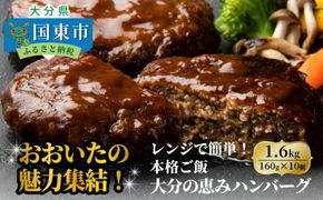 おおいたの魅力集結！大分の恵みハンバーグ 1.6kg（160g×10個）_2146R