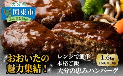 おおいたの魅力集結！大分の恵みハンバーグ 1.6kg（160g×10個）_2146R