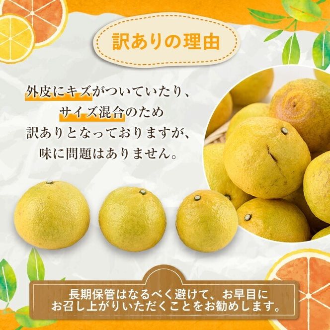 ＜先行予約受付中！2026年2月以降順次発送予定＞訳ありはるか(約10kg) 国産 鹿児島県産 果物 フルーツ 柑橘 みかん はるか【松永青果】akn053-45