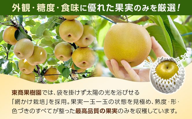 1121．【2026年度発送先行予約】数量限定　新甘泉　5kg 313726_CS001