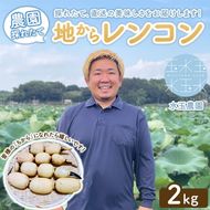 農園採れたて 地からレンコン 2kg ｜ 産地直送 茨城県 土浦市産 れんこん 蓮根 シャキシャキ ※離島への配送不可