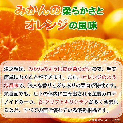 G7057_【2027年先行予約】和歌山産 津之輝 (つのかがやき) 5kg