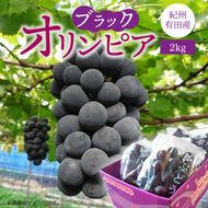 G7088_ 紀州有田産 ブラックオリンピア (ハチミツぶどう) 2kg 【ぶどう ブドウ 葡萄 グレープ フルーツ 国産】
