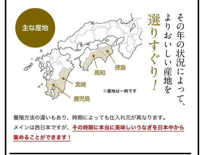 1162.【父の日用】国産うなぎ蒲焼き大サイズ3本セット(A1162-1) 