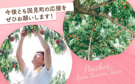 ◆2026年夏発送◆＜ 蟠桃・約2kg ＞ ※離島への配送不可 ※2026年7月中旬頃～8月下旬頃までに順次発送｜先行予約 予約 数量限定 桃 もも モモ 果物 くだもの フルーツ 詰め合わせ 福島 ふくしま