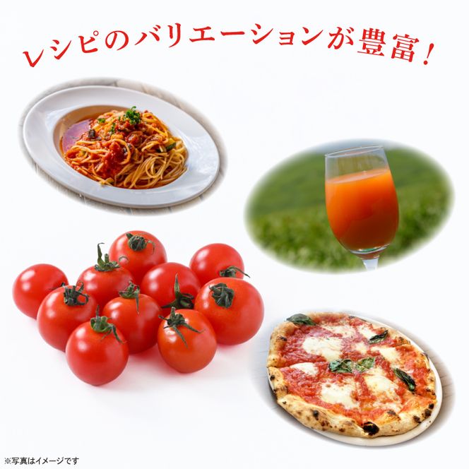 【先行予約★2026年5月中旬頃～順次発送！】【人気商品】朝採れ あまっこ ミニトマト ３kg 【やさい 野菜 トマト 甘い プチトマト 新鮮 フレッシュ 産地 直送 10000円以下 茨城県 鹿嶋市 】（KAM-31）