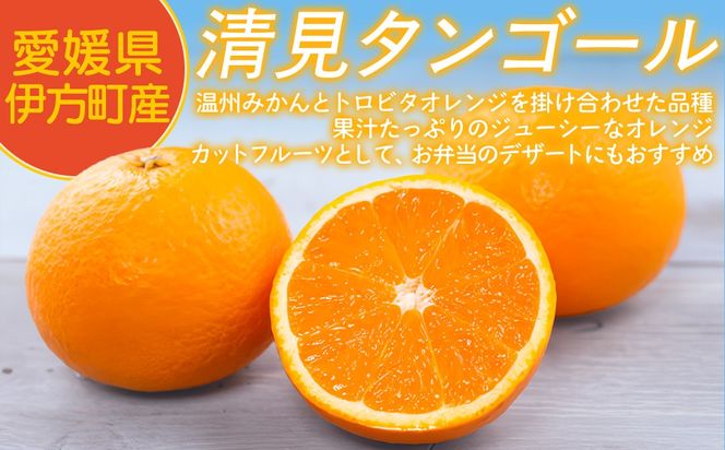 【先行予約】【家庭用】清見タンゴール 3kg ※北海道・沖縄・離島への配送不可（2026年3月中旬より順次発送） IKTAT005 