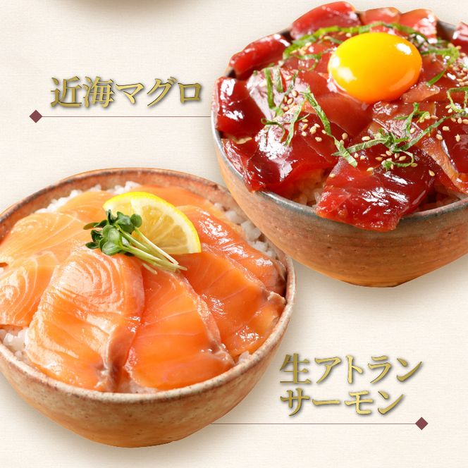 【冷凍】活〆ブリ・真鯛・近海マグロ・生アトランサーモンの漬け丼4種食べ比べセット110g×8袋 N019-YB251