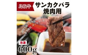 鳥取牛サンカクバラ焼肉用 600g（冷凍） 312011_CA005
