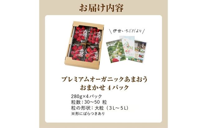 【先行予約】オーガニックあまおう 「いせいちご」 おまかせ4パック（大粒）【伊世いちご畑】_HA1019