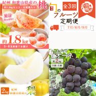 ［全3回 定期便］ 紀州和歌山産旬のフルーツセット（桃・梨・ピオーネ） ［UT142］ 303446_XF91188