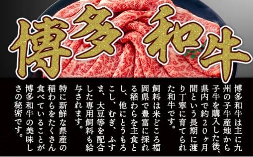 博多和牛 サーロイン 【A4～A5】 しゃぶしゃぶ すき焼き 300g 2p 計600g [MEAT PLUS 福岡県 宇美町 um40azp010034] 牛肉 肉 和牛 牛しゃぶ 牛すき