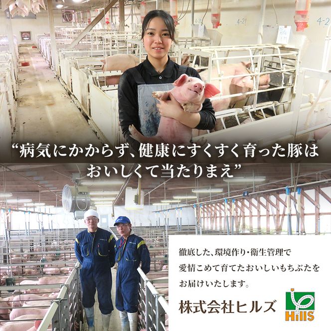 【定期便3回】しゃぶしゃぶ用 豚バラ すき焼き 200g×10 (2kg) 豚肉